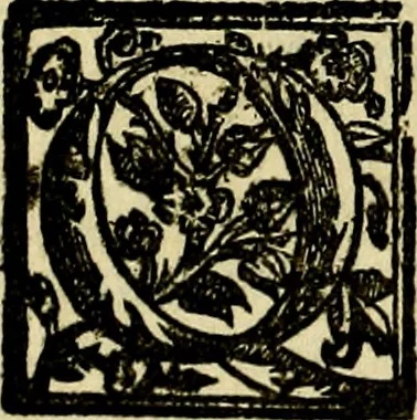 An illustration from Le imprese illvstri, con espositioni, et discorsi del S.or Ieronimo Rvscelli. Con la givnta di altre imprese tvtto riordinato et corretto da Fran.co Patritio, 1572, leaf 339