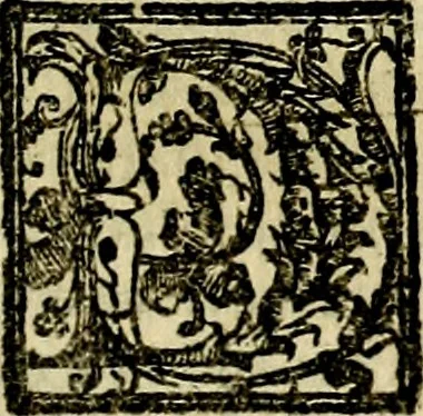 An illustration from Le imprese illvstri, con espositioni, et discorsi del S.or Ieronimo Rvscelli. Con la givnta di altre imprese tvtto riordinato et corretto da Fran.co Patritio, 1572, leaf 350