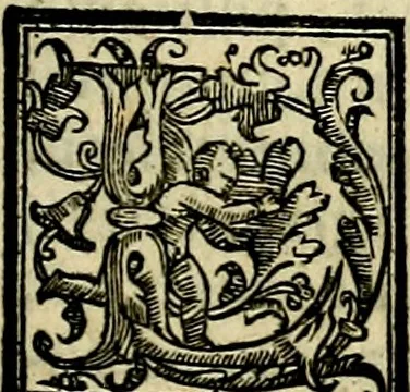 An illustration from Le imprese illvstri, con espositioni, et discorsi del S.or Ieronimo Rvscelli. Con la givnta di altre imprese tvtto riordinato et corretto da Fran.co Patritio, 1572, leaf 360