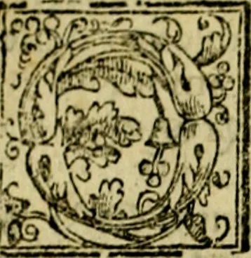An illustration from Le imprese illvstri, con espositioni, et discorsi del S.or Ieronimo Rvscelli. Con la givnta di altre imprese tvtto riordinato et corretto da Fran.co Patritio, 1572, leaf 37
