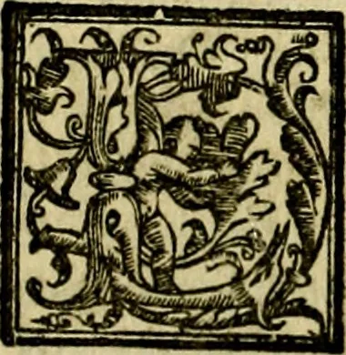 An illustration from Le imprese illvstri, con espositioni, et discorsi del S.or Ieronimo Rvscelli. Con la givnta di altre imprese tvtto riordinato et corretto da Fran.co Patritio, 1572, leaf 389
