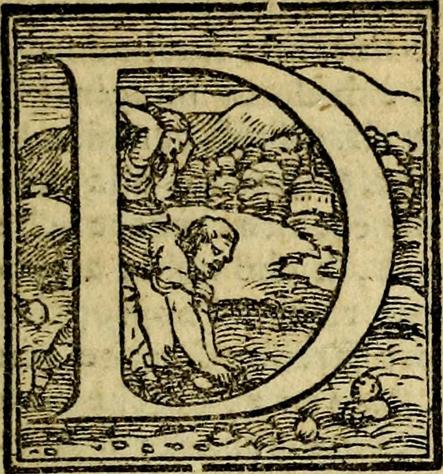 An illustration from Le imprese illvstri, con espositioni, et discorsi del S.or Ieronimo Rvscelli. Con la givnta di altre imprese tvtto riordinato et corretto da Fran.co Patritio, 1572, leaf 396