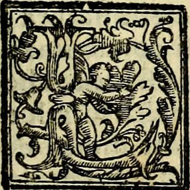 An illustration from Le imprese illvstri, con espositioni, et discorsi del S.or Ieronimo Rvscelli. Con la givnta di altre imprese tvtto riordinato et corretto da Fran.co Patritio, 1572, leaf 448