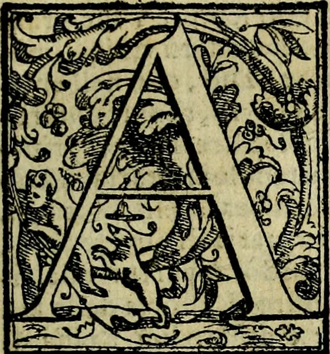 An illustration from Le imprese illvstri, con espositioni, et discorsi del S.or Ieronimo Rvscelli. Con la givnta di altre imprese tvtto riordinato et corretto da Fran.co Patritio, 1572, leaf 46