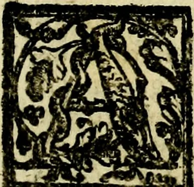 An illustration from Le imprese illvstri, con espositioni, et discorsi del S.or Ieronimo Rvscelli. Con la givnta di altre imprese tvtto riordinato et corretto da Fran.co Patritio, 1572, leaf 462