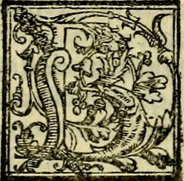 An illustration from Le imprese illvstri, con espositioni, et discorsi del S.or Ieronimo Rvscelli. Con la givnta di altre imprese tvtto riordinato et corretto da Fran.co Patritio, 1572, leaf 474