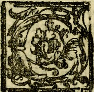 An illustration from Le imprese illvstri, con espositioni, et discorsi del S.or Ieronimo Rvscelli. Con la givnta di altre imprese tvtto riordinato et corretto da Fran.co Patritio, 1572, leaf 490