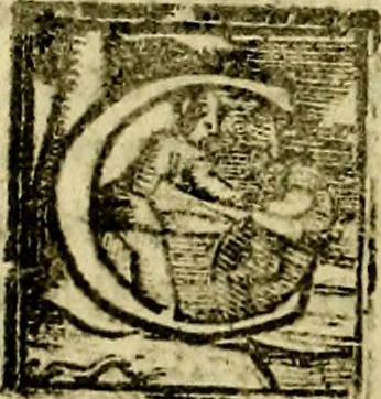 An illustration from Le imprese illvstri, con espositioni, et discorsi del S.or Ieronimo Rvscelli. Con la givnta di altre imprese tvtto riordinato et corretto da Fran.co Patritio, 1572, leaf 493