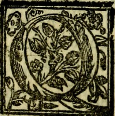 An illustration from Le imprese illvstri, con espositioni, et discorsi del S.or Ieronimo Rvscelli. Con la givnta di altre imprese tvtto riordinato et corretto da Fran.co Patritio, 1572, leaf 505