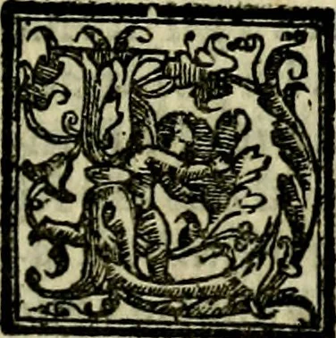 An illustration from Le imprese illvstri, con espositioni, et discorsi del S.or Ieronimo Rvscelli. Con la givnta di altre imprese tvtto riordinato et corretto da Fran.co Patritio, 1572, leaf 510
