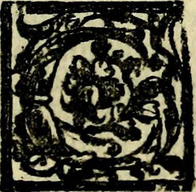 An illustration from Le imprese illvstri, con espositioni, et discorsi del S.or Ieronimo Rvscelli. Con la givnta di altre imprese tvtto riordinato et corretto da Fran.co Patritio, 1572, leaf 516