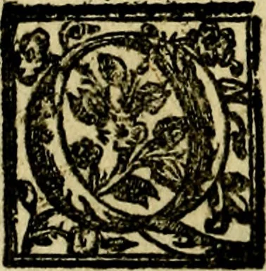 An illustration from Le imprese illvstri, con espositioni, et discorsi del S.or Ieronimo Rvscelli. Con la givnta di altre imprese tvtto riordinato et corretto da Fran.co Patritio, 1572, leaf 529