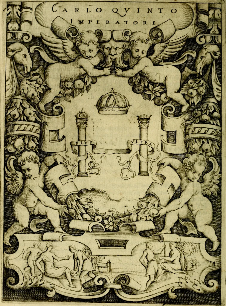 An illustration from Le imprese illvstri, con espositioni, et discorsi del S.or Ieronimo Rvscelli. Con la givnta di altre imprese tvtto riordinato et corretto da Fran.co Patritio, 1572, leaf 53