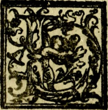 An illustration from Le imprese illvstri, con espositioni, et discorsi del S.or Ieronimo Rvscelli. Con la givnta di altre imprese tvtto riordinato et corretto da Fran.co Patritio, 1572, leaf 531