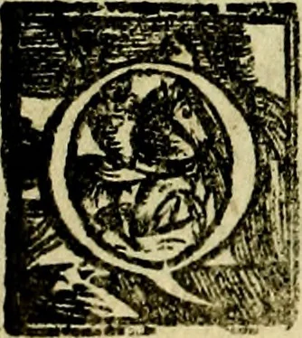An illustration from Le imprese illvstri, con espositioni, et discorsi del S.or Ieronimo Rvscelli. Con la givnta di altre imprese tvtto riordinato et corretto da Fran.co Patritio, 1572, leaf 533
