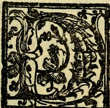 An illustration from Le imprese illvstri, con espositioni, et discorsi del S.or Ieronimo Rvscelli. Con la givnta di altre imprese tvtto riordinato et corretto da Fran.co Patritio, 1572, leaf 554