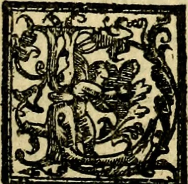 An illustration from Le imprese illvstri, con espositioni, et discorsi del S.or Ieronimo Rvscelli. Con la givnta di altre imprese tvtto riordinato et corretto da Fran.co Patritio, 1572, leaf 560