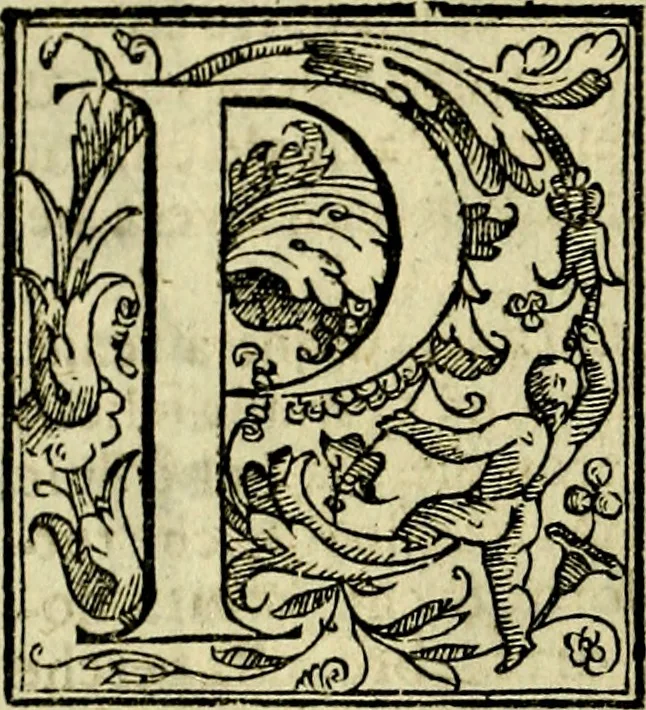 An illustration from Le imprese illvstri, con espositioni, et discorsi del S.or Ieronimo Rvscelli. Con la givnta di altre imprese tvtto riordinato et corretto da Fran.co Patritio, 1572, leaf 75