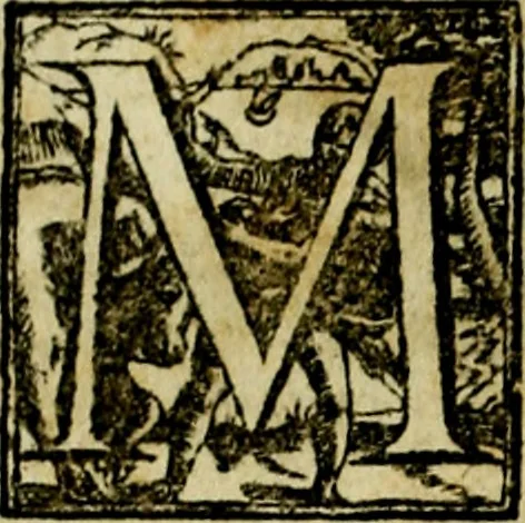 An illustration from Le imprese illvstri, con espositioni, et discorsi del S.or Ieronimo Rvscelli. Con la givnta di altre imprese tvtto riordinato et corretto da Fran.co Patritio, 1572, leaf 83