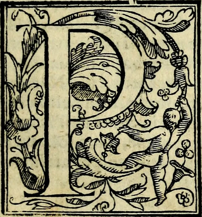 An illustration from Le imprese illvstri, con espositioni, et discorsi del S.or Ieronimo Rvscelli. Con la givnta di altre imprese tvtto riordinato et corretto da Fran.co Patritio, 1572, leaf 88