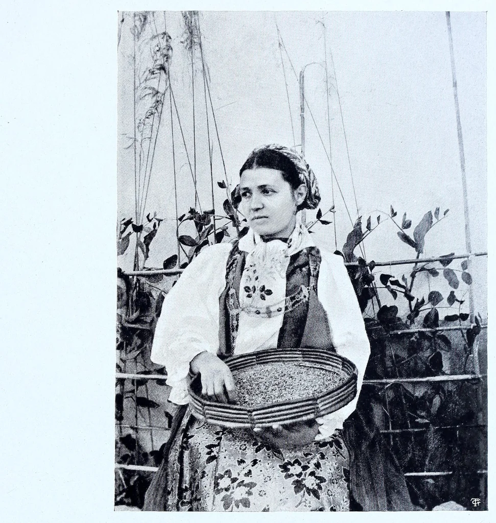 An illustration from "Le Industrie Femminili Italiane", 1906, leaf 419