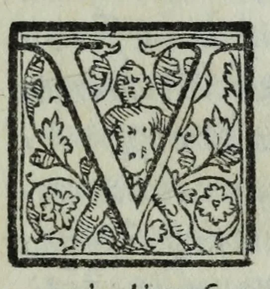 An illustration from Le iscrittioni poste sotto le vere imagini de gli hvomini famosi in lettere, 1558, leaf 11