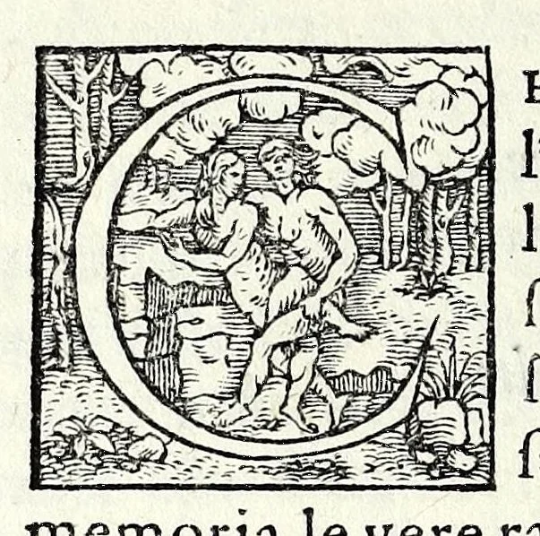 An illustration from Le iscrittioni poste sotto le vere imagini de gli huomini famosi : le quali à Como nel museo del Giouio si veggiono, 1552, leaf 208