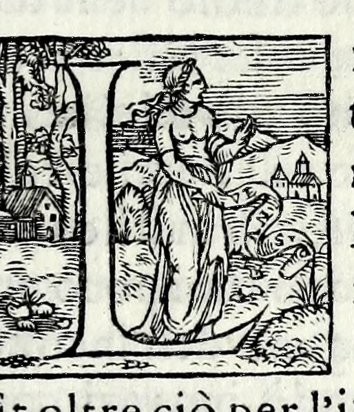 An illustration from Le iscrittioni poste sotto le vere imagini de gli huomini famosi : le quali à Como nel museo del Giouio si veggiono, 1552, leaf 223