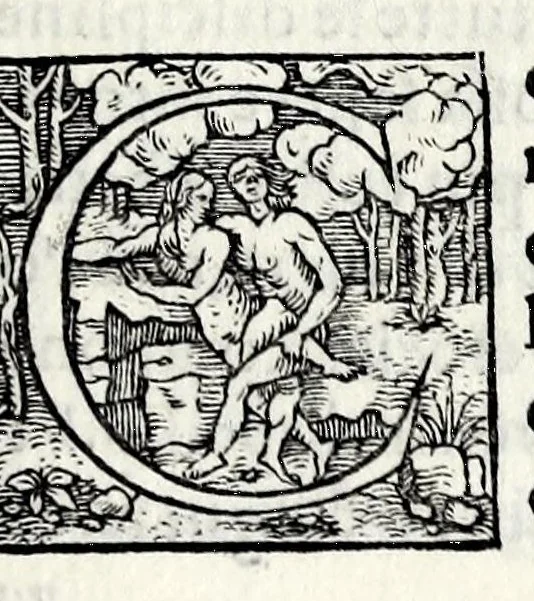 An illustration from Le iscrittioni poste sotto le vere imagini de gli huomini famosi : le quali à Como nel museo del Giouio si veggiono, 1552, leaf 223