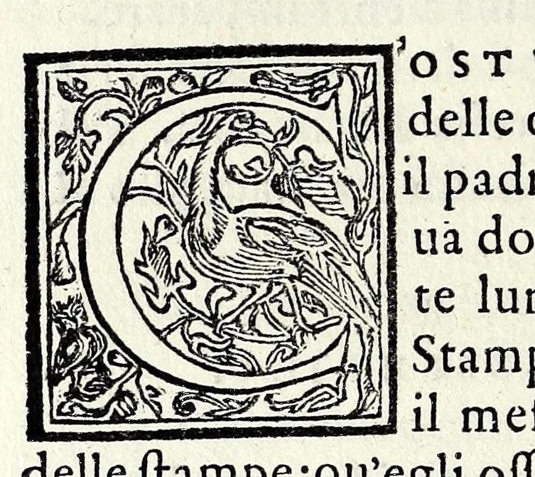 An illustration from Le iscrittioni poste sotto le vere imagini de gli huomini famosi : le quali à Como nel museo del Giouio si veggiono, 1552, leaf 230