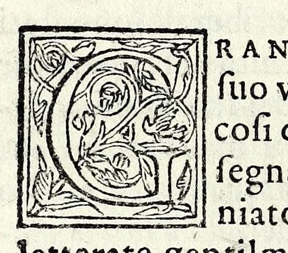 An illustration from Le iscrittioni poste sotto le vere imagini de gli huomini famosi : le quali à Como nel museo del Giouio si veggiono, 1552, leaf 232