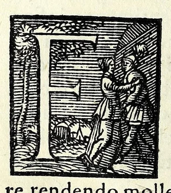 An illustration from Le iscrittioni poste sotto le vere imagini de gli huomini famosi : le quali à Como nel museo del Giouio si veggiono, 1552, leaf 36