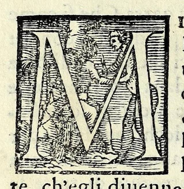 An illustration from Le iscrittioni poste sotto le vere imagini de gli huomini famosi : le quali à Como nel museo del Giouio si veggiono, 1552, leaf 74