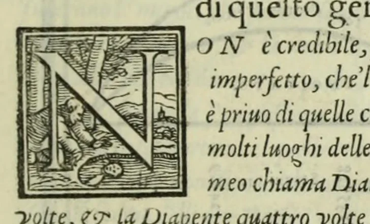 An illustration from Le istitutioni harmoniche : nelle quali oltra le materie appartenenti alla musica : si trouano dichiarati molti luoghi di poeti, d'historici, & di filosofi : si come leggerle si potrà chiaramente vedere, 1558, leaf 131