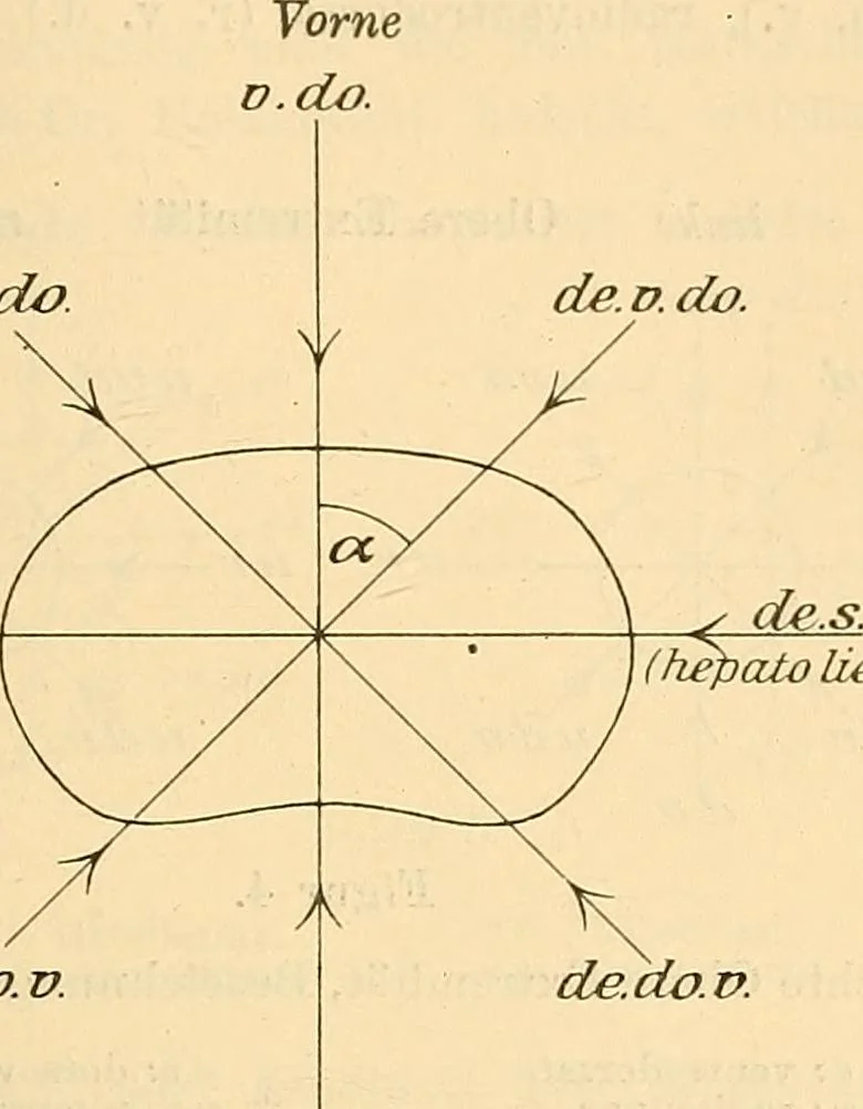 An illustration from Leitfaden des Röntgen-Verfahrens, 1903, leaf 200