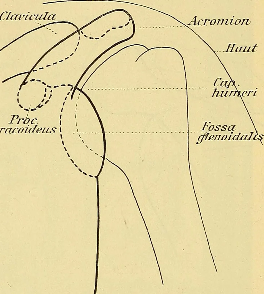 An illustration from Leitfaden des Röntgen-Verfahrens, 1903, leaf 205
