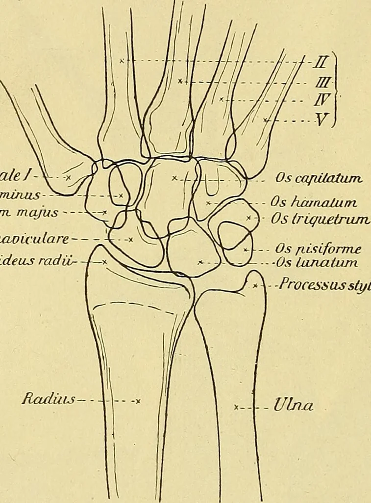 An illustration from Leitfaden des Röntgen-Verfahrens, 1903, leaf 211