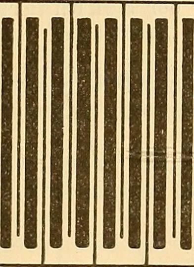 An illustration from Leitfaden des Röntgen-Verfahrens, 1903, leaf 50