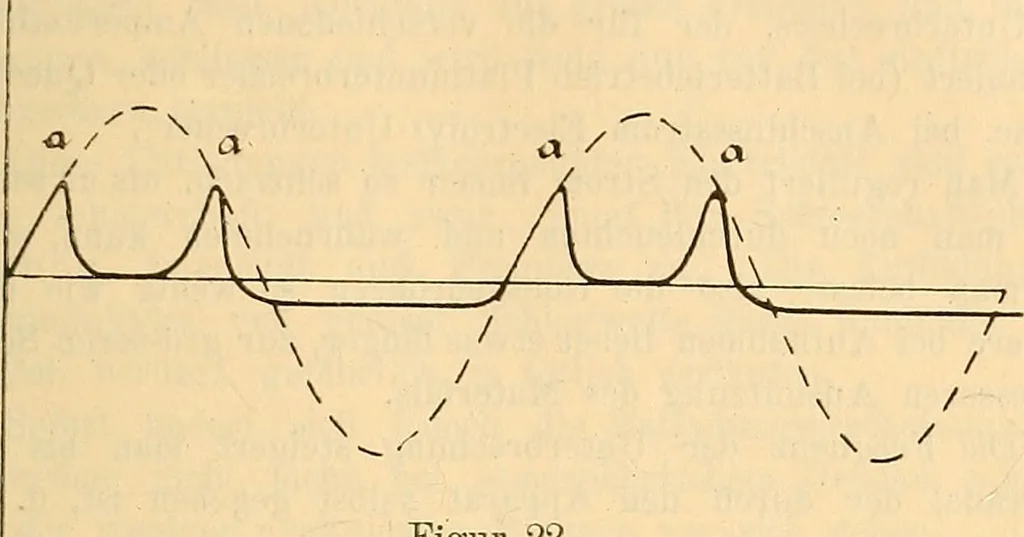 An illustration from Leitfaden des Röntgen-Verfahrens, 1903, leaf 66