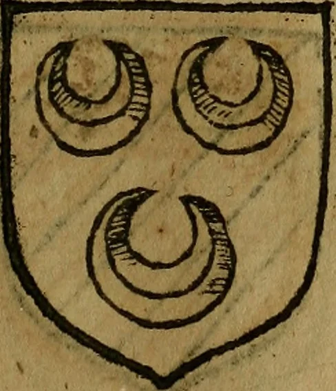 An illustration from Le jardin d'armoiries : contenant les armes de plusieurs nobles royaumes & maisons de Germanie Inferieure: oeuvre autant nouveau, que proufitable à tous amateurs du noble exercice d'armes. Den boomagert der wapenen, inhoudende wapenen van vele edele huysen van dese Nederlanden, en andere onliggende .., 1567, leaf 154