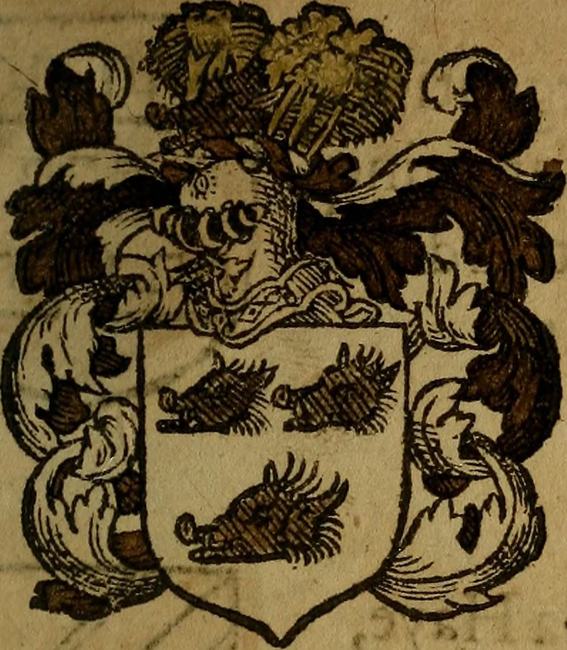 An illustration from Le jardin d'armoiries : contenant les armes de plusieurs nobles royaumes & maisons de Germanie Inferieure: oeuvre autant nouveau, que proufitable à tous amateurs du noble exercice d'armes. Den boomagert der wapenen, inhoudende wapenen van vele edele huysen van dese Nederlanden, en andere onliggende .., 1567, leaf 174
