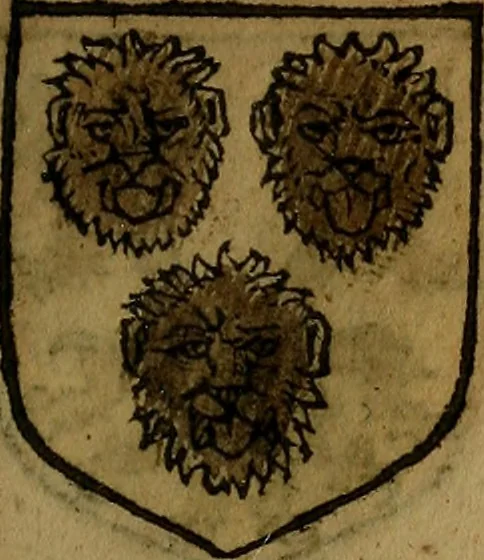 An illustration from Le jardin d'armoiries : contenant les armes de plusieurs nobles royaumes & maisons de Germanie Inferieure: oeuvre autant nouveau, que proufitable à tous amateurs du noble exercice d'armes. Den boomagert der wapenen, inhoudende wapenen van vele edele huysen van dese Nederlanden, en andere onliggende .., 1567, leaf 216