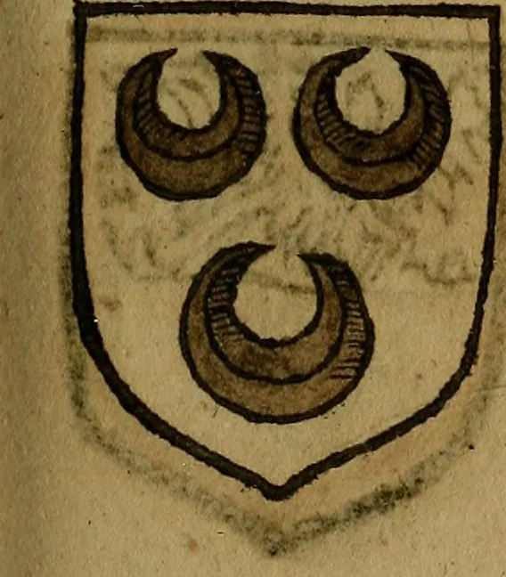 An illustration from Le jardin d'armoiries : contenant les armes de plusieurs nobles royaumes & maisons de Germanie Inferieure: oeuvre autant nouveau, que proufitable à tous amateurs du noble exercice d'armes. Den boomagert der wapenen, inhoudende wapenen van vele edele huysen van dese Nederlanden, en andere onliggende .., 1567, leaf 216