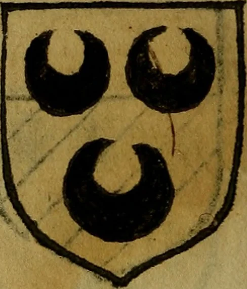 An illustration from Le jardin d'armoiries : contenant les armes de plusieurs nobles royaumes & maisons de Germanie Inferieure: oeuvre autant nouveau, que proufitable à tous amateurs du noble exercice d'armes. Den boomagert der wapenen, inhoudende wapenen van vele edele huysen van dese Nederlanden, en andere onliggende .., 1567, leaf 257
