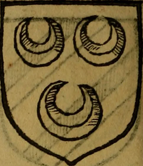An illustration from Le jardin d'armoiries : contenant les armes de plusieurs nobles royaumes & maisons de Germanie Inferieure: oeuvre autant nouveau, que proufitable à tous amateurs du noble exercice d'armes. Den boomagert der wapenen, inhoudende wapenen van vele edele huysen van dese Nederlanden, en andere onliggende .., 1567, leaf 259