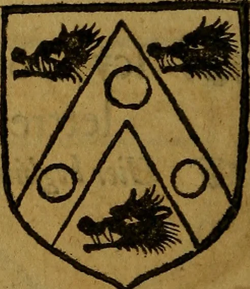 An illustration from Le jardin d'armoiries : contenant les armes de plusieurs nobles royaumes & maisons de Germanie Inferieure: oeuvre autant nouveau, que proufitable à tous amateurs du noble exercice d'armes. Den boomagert der wapenen, inhoudende wapenen van vele edele huysen van dese Nederlanden, en andere onliggende .., 1567, leaf 317