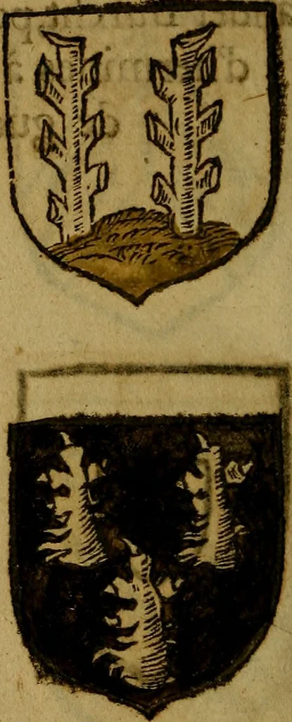 An illustration from Le jardin d'armoiries : contenant les armes de plusieurs nobles royaumes & maisons de Germanie Inferieure: oeuvre autant nouveau, que proufitable à tous amateurs du noble exercice d'armes. Den boomagert der wapenen, inhoudende wapenen van vele edele huysen van dese Nederlanden, en andere onliggende .., 1567, leaf 339