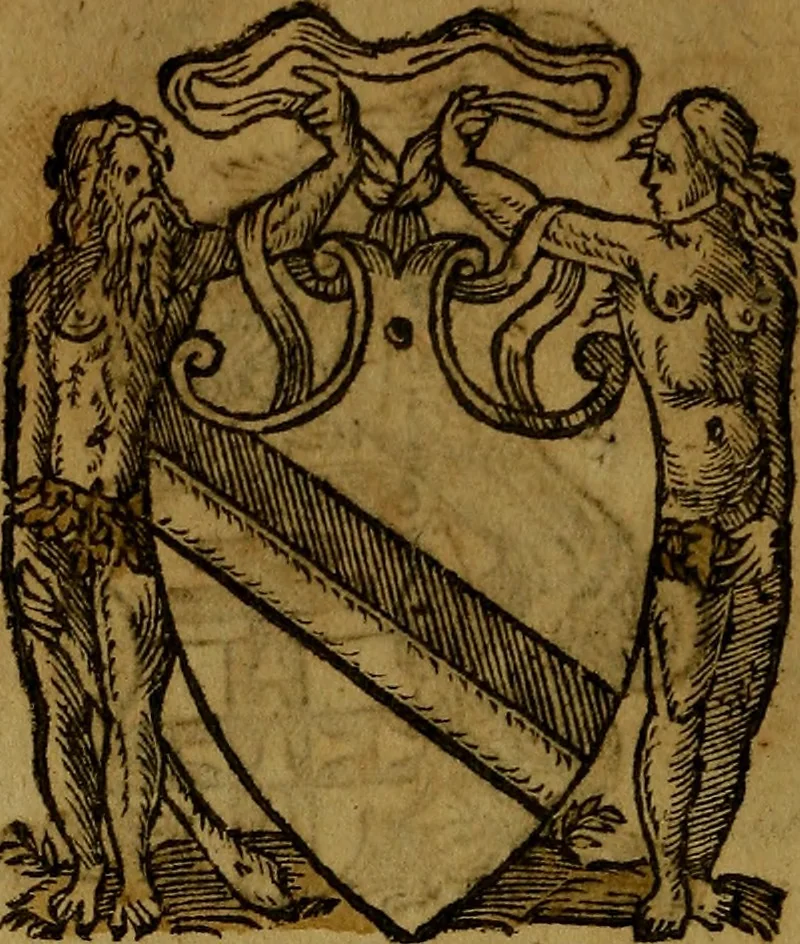 An illustration from Le jardin d'armoiries : contenant les armes de plusieurs nobles royaumes & maisons de Germanie Inferieure: oeuvre autant nouveau, que proufitable à tous amateurs du noble exercice d'armes. Den boomagert der wapenen, inhoudende wapenen van vele edele huysen van dese Nederlanden, en andere onliggende .., 1567, leaf 377