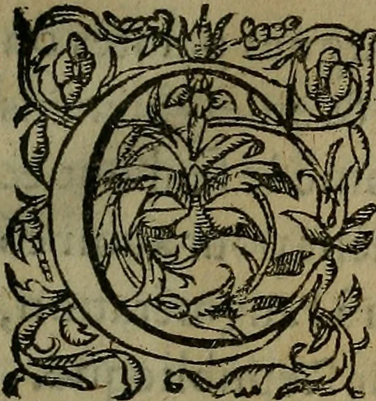 An illustration from Le jardin d'armoiries : contenant les armes de plusieurs nobles royaumes & maisons de Germanie Inferieure: oeuvre autant nouveau, que proufitable à tous amateurs du noble exercice d'armes. Den boomagert der wapenen, inhoudende wapenen van vele edele huysen van dese Nederlanden, en andere onliggende .., 1567, leaf 6