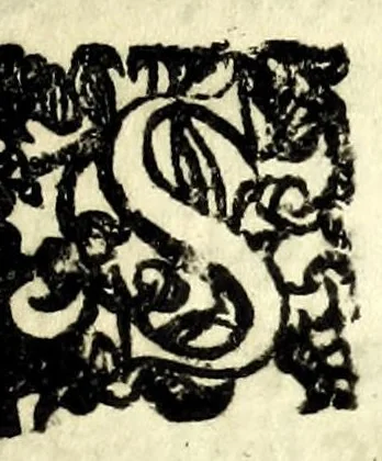 An illustration from Lelio bandito : tragicomedia boschereccia, 1620, leaf 11
